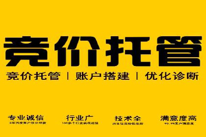 案例深度剖析：SEM网络推广助力企业业绩增长